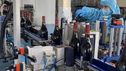 好品山東|青島西海岸新區:著力做強精深加工 加快藍莓全產業鏈發展