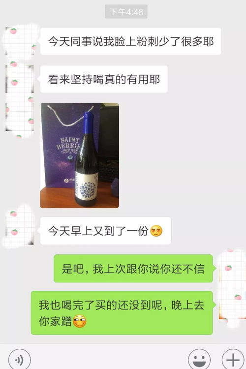 過年碰杯必備 藍莓酒 ,1500顆 a 級藍莓才能釀一瓶