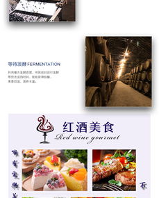 蘇子富春 藍莓酒女士低度紅酒男士半甜型果酒東北特產(chǎn)小粒藍莓果酒非葡萄酒500ml